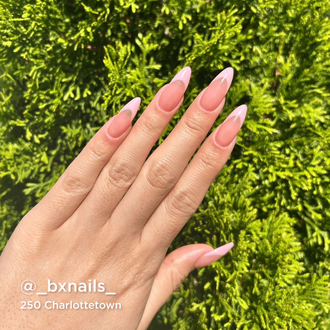 250 Charlottetown - Bio Seaweed Gel USA