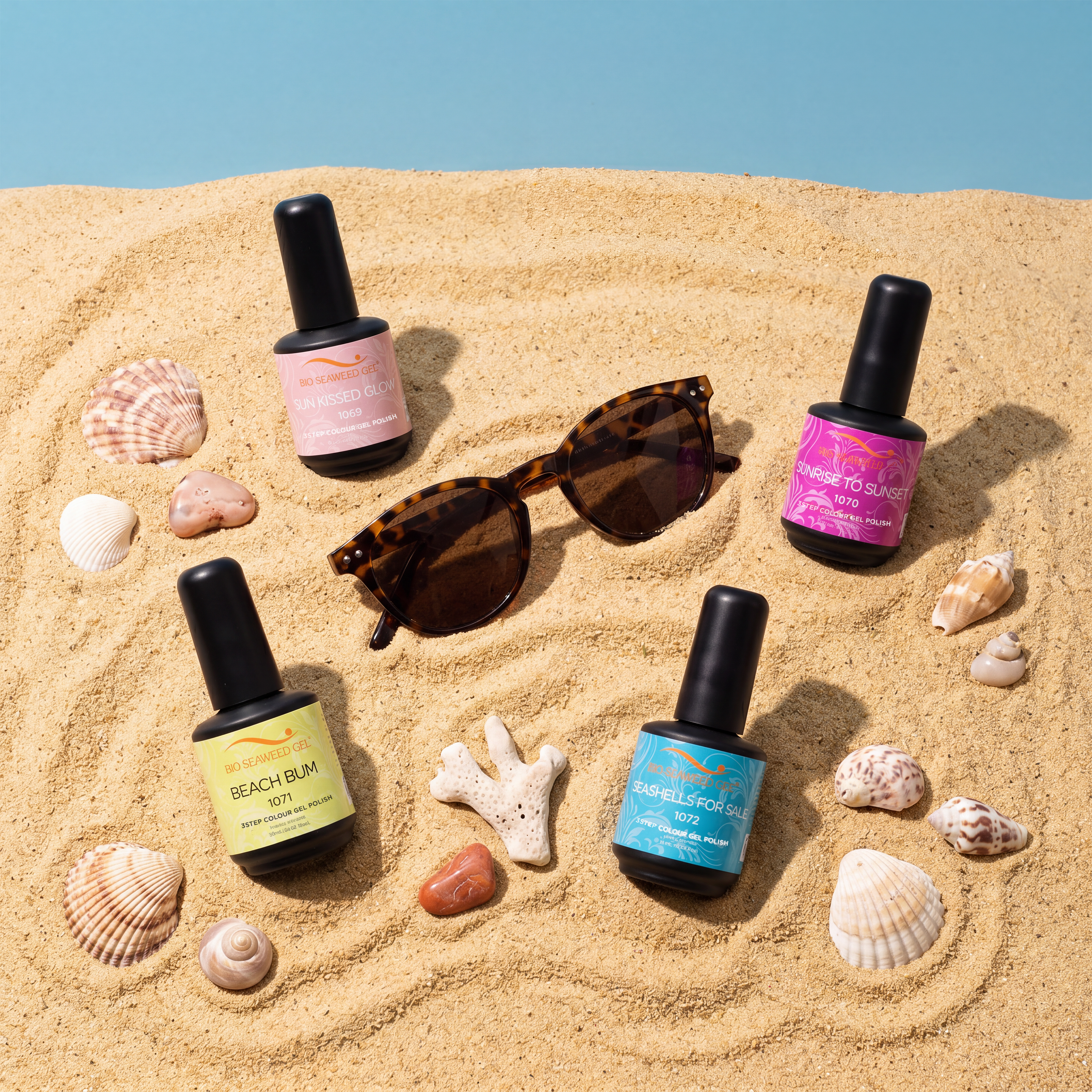 Seashells For Sale Collection