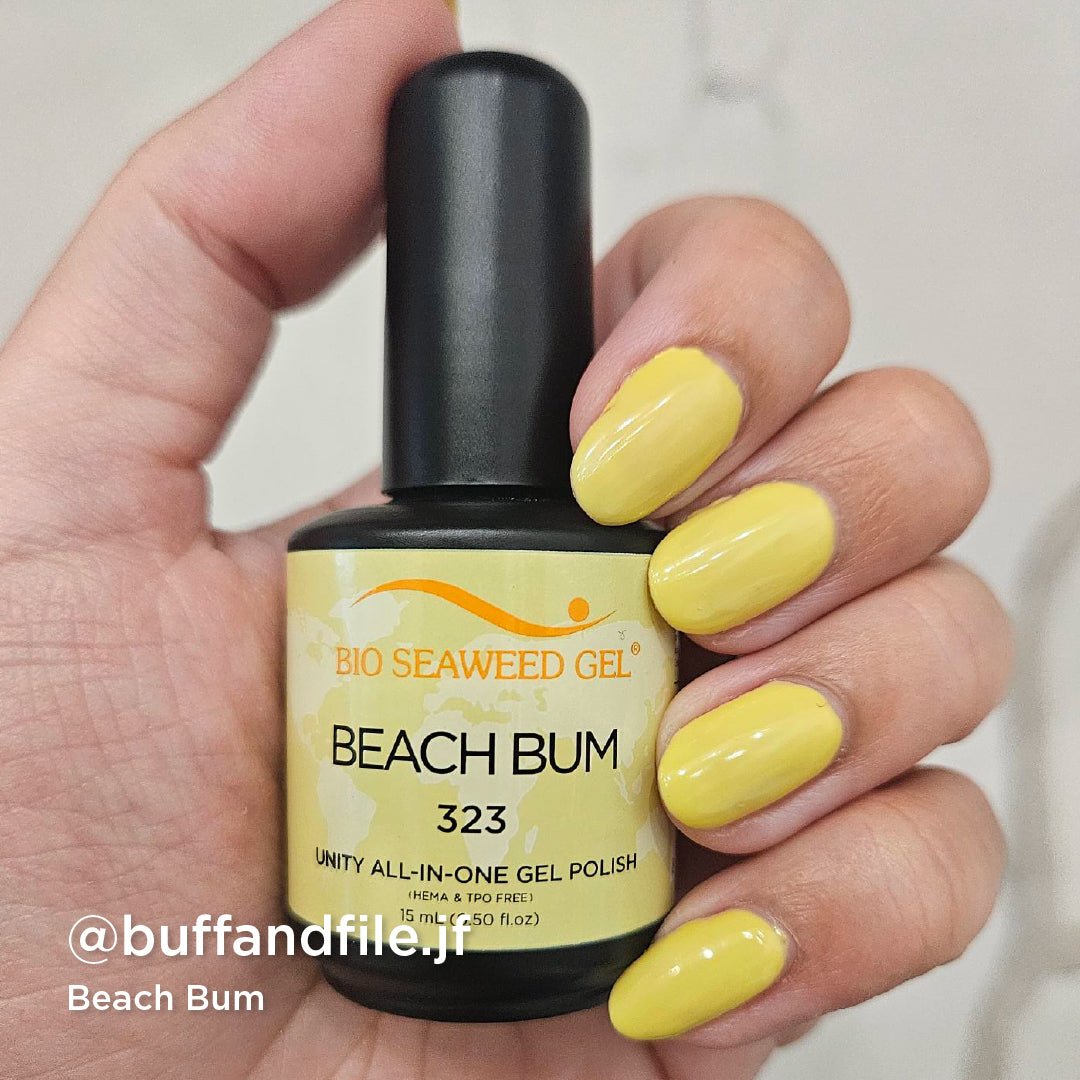 Seashells For Sale Collection - Bio Seaweed Gel USA