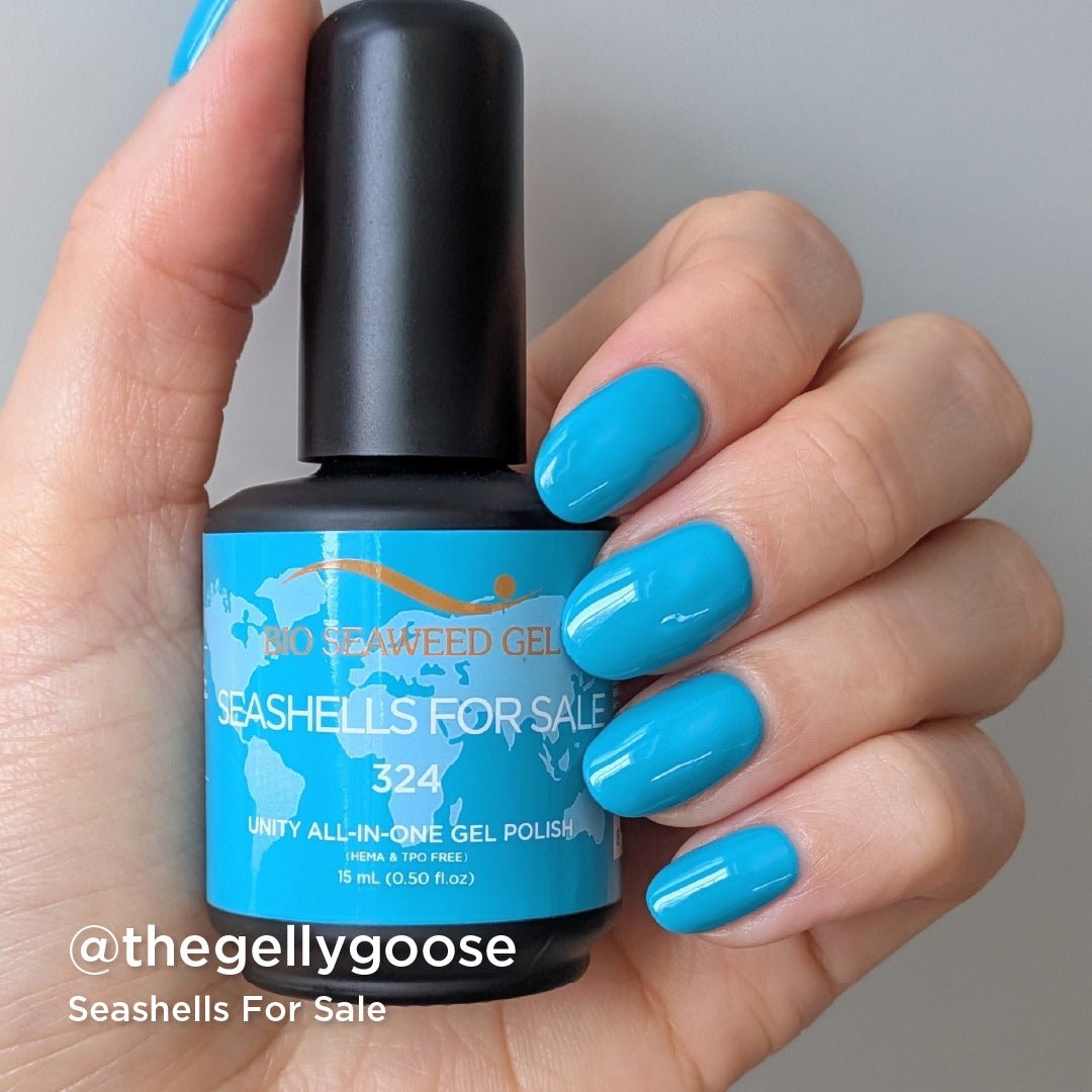 Seashells For Sale Collection - Bio Seaweed Gel USA