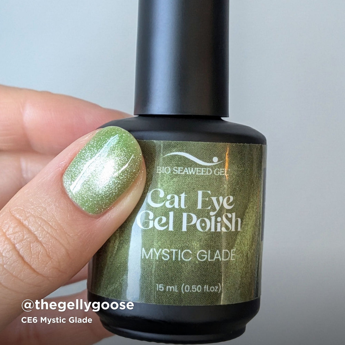 CE6 Mystic Glade