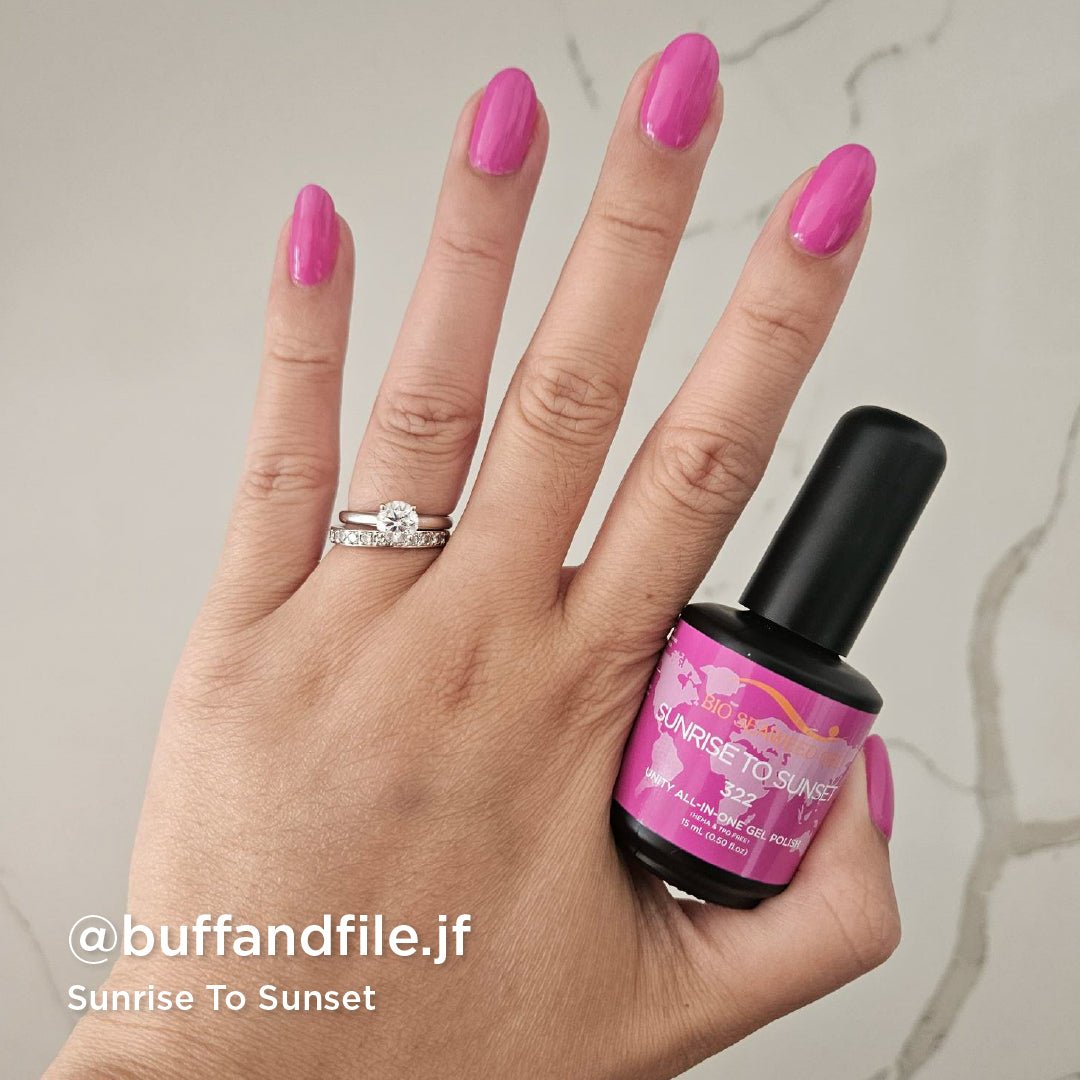 Seashells For Sale Collection - Bio Seaweed Gel USA