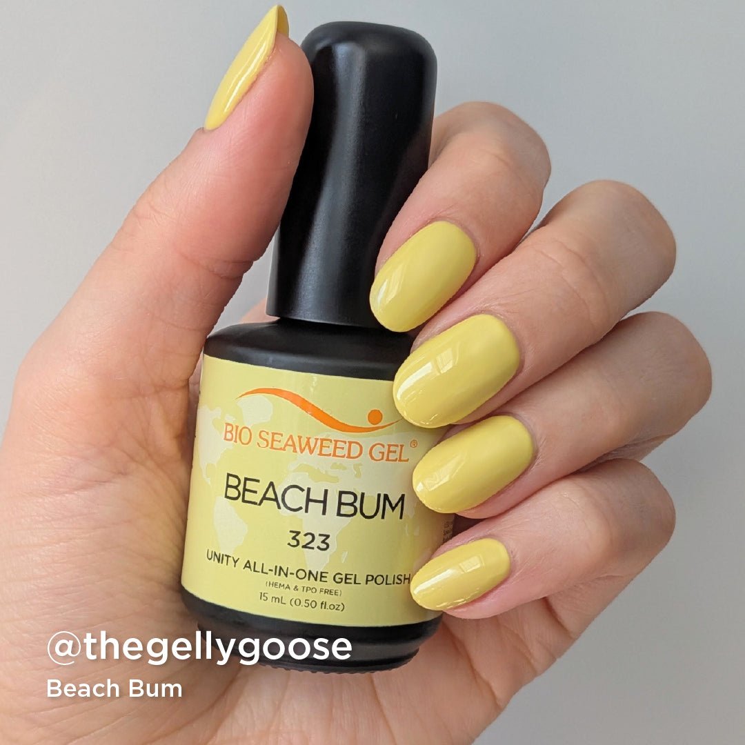 Seashells For Sale Collection - Bio Seaweed Gel USA