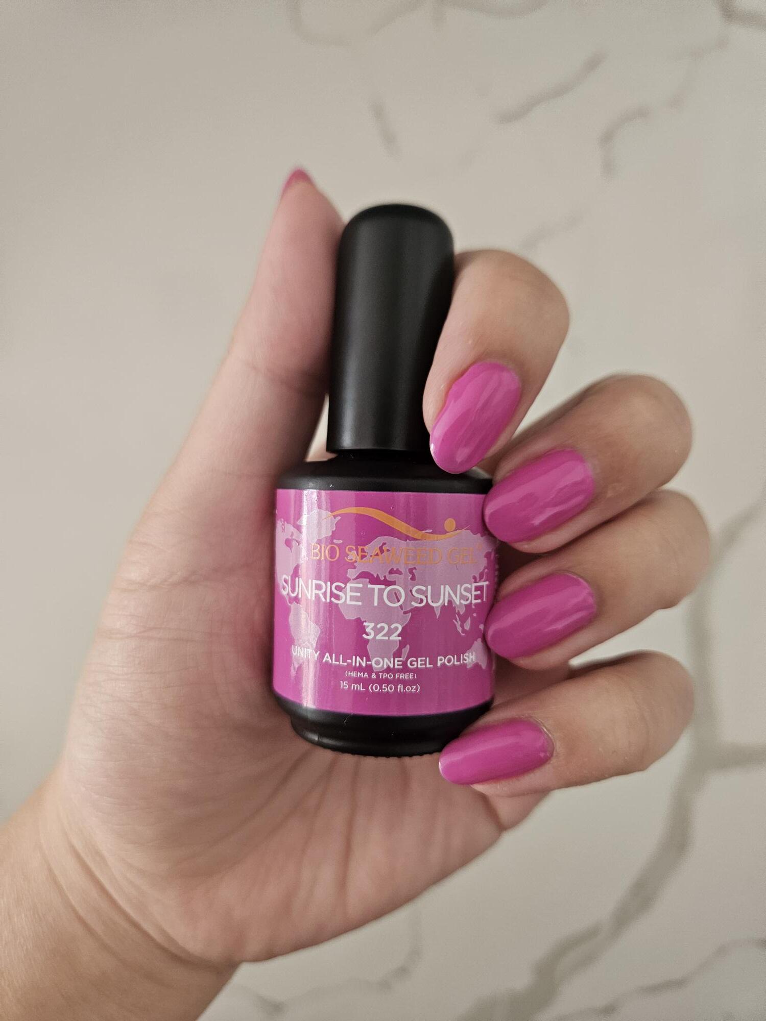 Seashells For Sale Collection - Bio Seaweed Gel USA